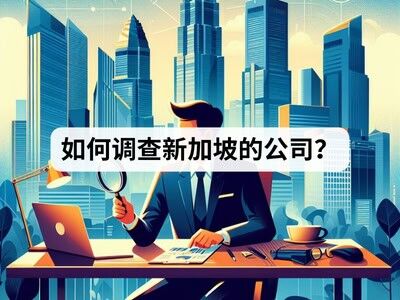 如何调查新加坡的公司 如何调查新加坡的公司
