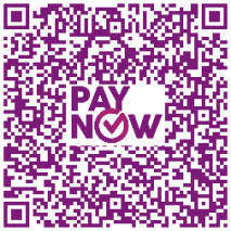 PayNow to 3E Accounting Pte. Ltd.