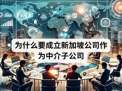 为什么要成立新加坡公司作为中介子公司 为什么要成立新加坡公司作为中介子公司