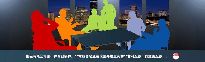 担保有限公司是一种商业实体,非常适合希望在该国开展业务的非营利组织(如慈善组织)。 担保有限公司是一种商业实体,非常适合希望在该国开展业务的非营利组织(如慈善组织)。
