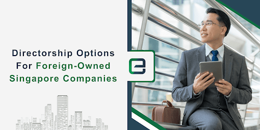Directorship Options for Foreign-Owned Singapore Companies